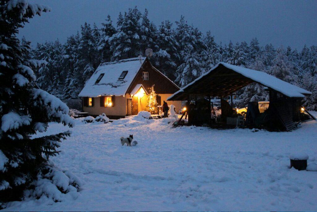 Kleine Hütte im verschneiten Wald bei Dämmerung, erleuchtet von warmem Licht, während ein Hund im Vordergrund durch den Schnee läuft