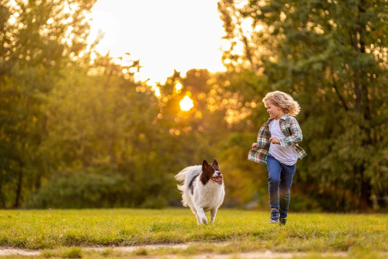Kind spielt mit Hund im Sonnenlicht – vitaler Lebensstil dank Bio Hundefutter und Bewegung